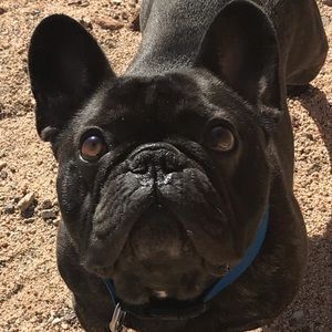 Meet your Posher, Julia